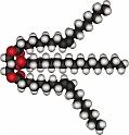 21.5 b Model molekule ulja